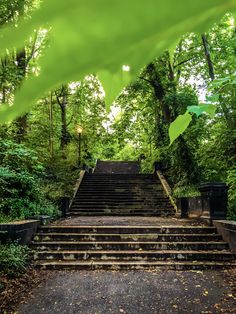 an old set of stairs in the middle of a forest with trees on either side