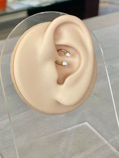 a fake ear is shown in a clear acrylic display case