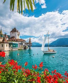 a sailboat floating on top of a body of water near buildings and flowers in the foreground