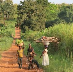 three people walking down a dirt road carrying baskets on their heads and bicycles in the foreground