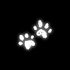 two white paw prints on a black background