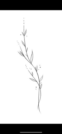 Sage Leaf Drawing, Arm Tattoo Filler For Women, Simple Plant Tattoo Design, Leaves Flowers Tattoo, Single Line Vine Tattoo, Western Flowers Drawing, Fine Line Branch Tattoo, Dainty Flower Hand Tattoo, Earthy Tattoos Sleeve