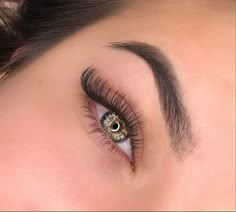 Cat Eye Lash Extensions, Selling Lashes, Looks Kylie Jenner, Wet Set, Lashes Extensions