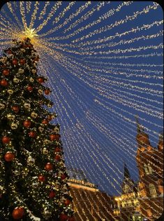 a large christmas tree with lights on it