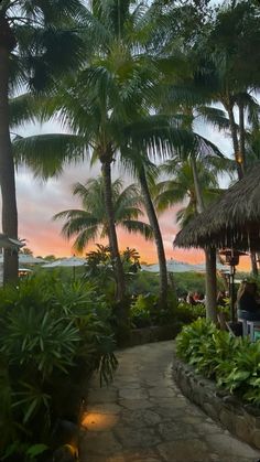 people are sitting at tables under palm trees on the ocean shore in front of an orange and pink sunset