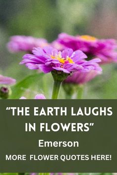 zinnia flowers Flower Poem, Garden Quotes, Summer Quotes