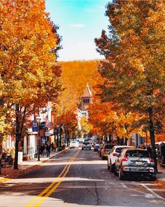 cars are parked on the street in front of trees with orange and yellow leaves