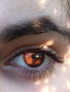 Copper Eyes, Henry Hill, Superman Story, Brown Eyes Aesthetic, Copper Eye, Blue Eye Color, Disney High Schools, Autumn Moon