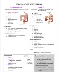 the anatomy of the stomach and its functions