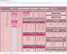 a spreadsheet for the november budget tracker