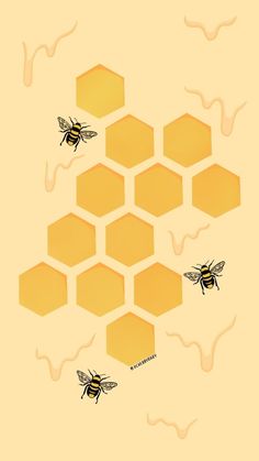 bees on honeycombs in the middle of a screen with an arrow pointing to them