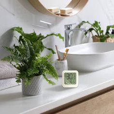 there is a clock on the bathroom counter next to a sink and mirror with plants in it