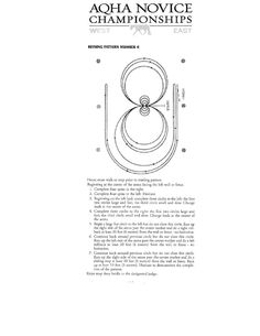 an instruction manual for the aoha novice championships, with instructions on how to use it