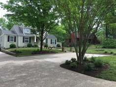 a driveway with trees and bushes around it