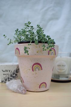 a potted plant sitting on top of a table next to two cups and saucers