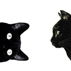 two black cats facing each other with green eyes