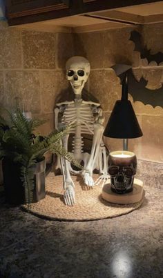 a skeleton sitting on the ground next to a lamp and potted plant in a kitchen