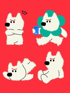 four polar bears with different expressions on a red background