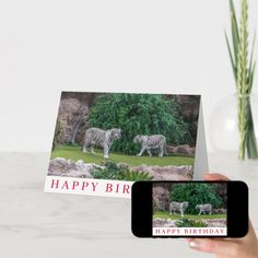 a person holding up a card with two white tigers on it and the caption happy birthday