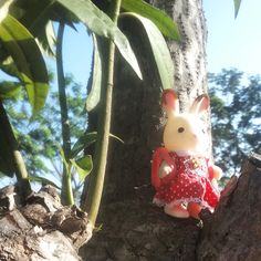 a small toy rabbit sitting on top of a tree