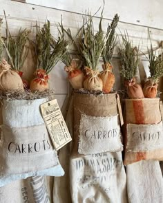 three bags filled with carrots sitting on top of a table