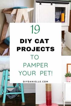 the top ten diy cat projects to pamper your pet in this postcard