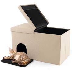 a cat laying on top of a black mat next to a cardboard box with its lid open