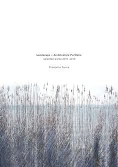 the cover of landscape architecture persico, featuring tall grasses in blue and white