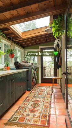 a kitchen with an area rug on the floor and potted plants hanging from the ceiling