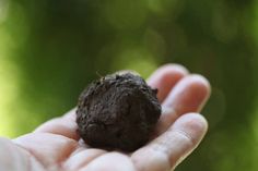 a hand holding a piece of food in it's palm