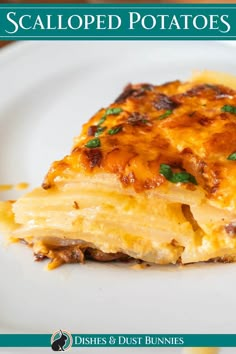 a white plate topped with lasagna covered in cheese