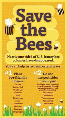 save the bees poster with text