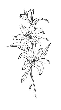 a black and white drawing of lilies on a white background with the word lily written below it