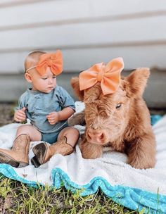 a baby sitting on a blanket next to a cow with an orange bow in its hair