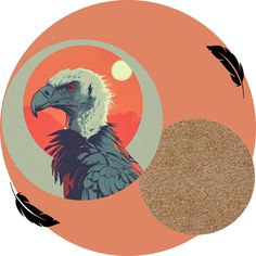 an image of a bird with feathers on it's head next to a circle