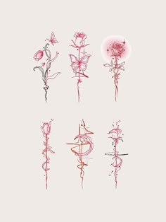 six different types of pink flowers on a white background