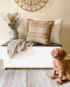 a brown dog sitting on top of a white bench next to pillows and flowers in a vase