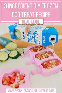 3 ingredient diy frozen dog treat recipe for kids to make with fresh fruit and veggies