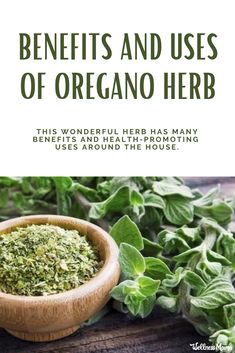 the benefits and uses of oregano herb in this wonderful herb has many benefits and health - promoting uses around the house