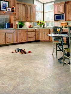 a dog laying on the floor in a kitchen