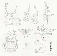 some animals and plants are drawn on paper