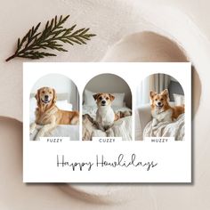 three dogs sitting on top of a white bed next to a pine branch with the words happy holidays