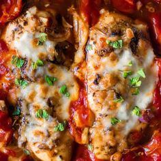 chicken parmesan in a red sauce with cheese and herbs