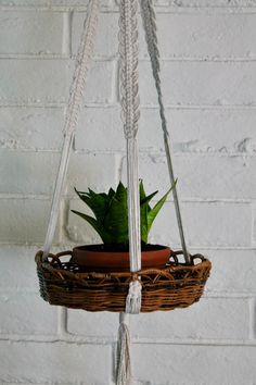 a hanging basket with a plant in it