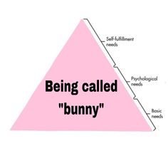 a pink triangle with the words being called bunny