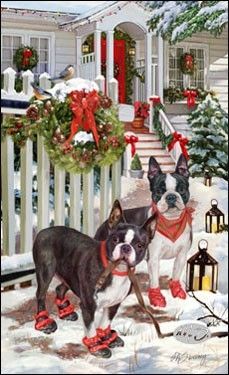 two boston terriers in red shoes on snow covered porch with christmas wreaths and lanterns