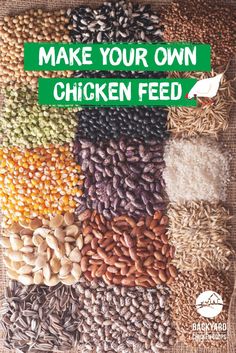 the cover of make your own chicken feed is shown with different types of beans and grains