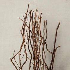 a vase with branches in it sitting on a table