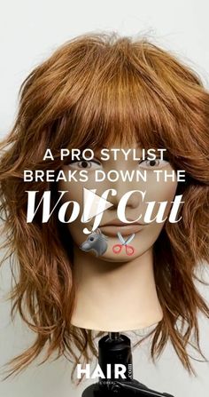 ++ long wolfcut haircut men, long wolfcut haircut curly hair, long wolfcut haircut, long wolfcut haircut st? Straight Wolfcut, Cut Own Hair, Choppy Bob Hairstyles For Fine Hair, Wolfcut Long, Wolf Cut Hair, Shaggy Short Hair, Easy Hair Cuts, Haircut Straight, Haircut Men