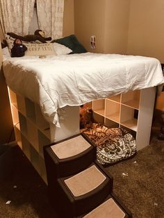 a dog is laying on top of a bed in a room with carpeted flooring